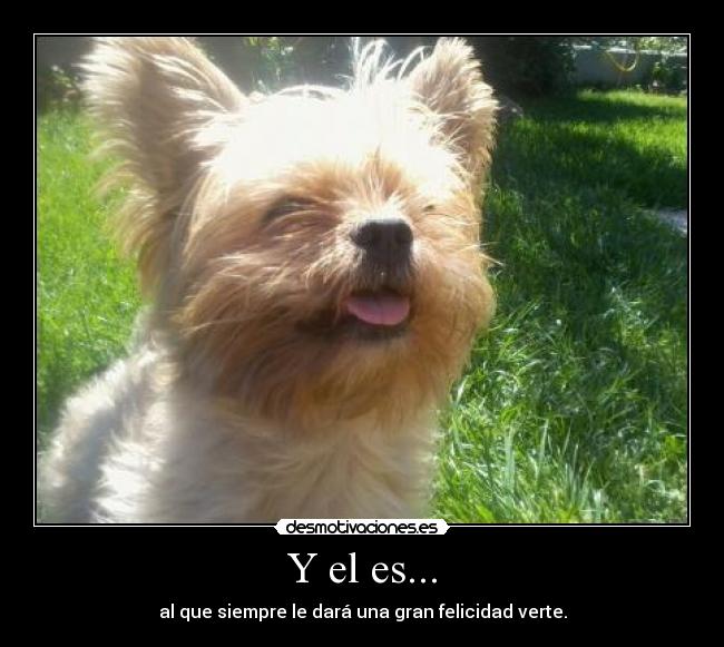 Y el es... -