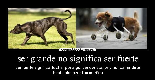 ser grande no significa ser fuerte - ser fuerte significa: luchar por algo, ser constante y nunca rendirte
hasta alcanzar tus sueños