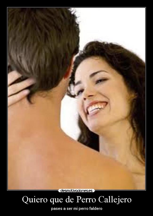 Quiero que de Perro Callejero - pases a ser mi perro faldero