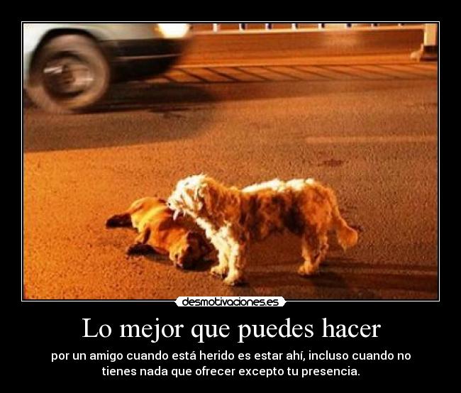 Lo mejor que puedes hacer - por un amigo cuando está herido es estar ahí, incluso cuando no
tienes nada que ofrecer excepto tu presencia.