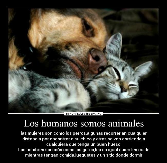 Los humanos somos animales - 