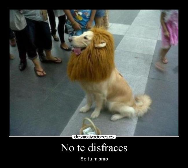 No te disfraces - 