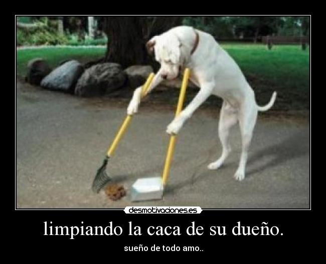 limpiando la caca de su dueño. - sueño de todo amo..