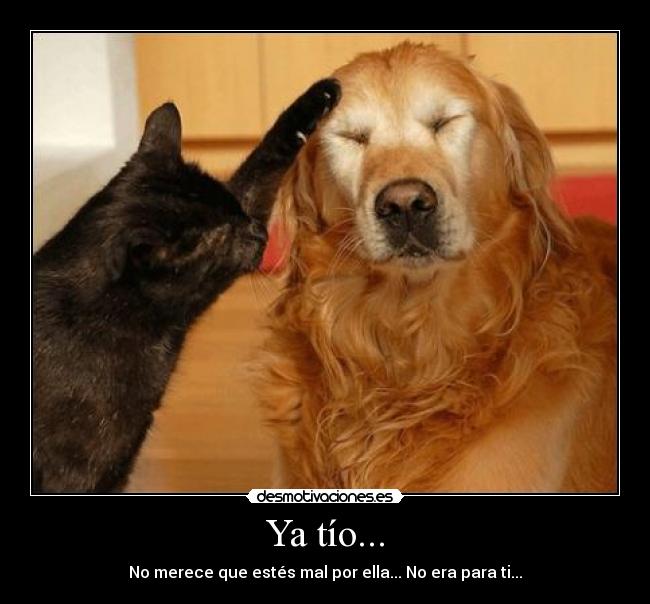 Ya tío... - No merece que estés mal por ella... No era para ti...