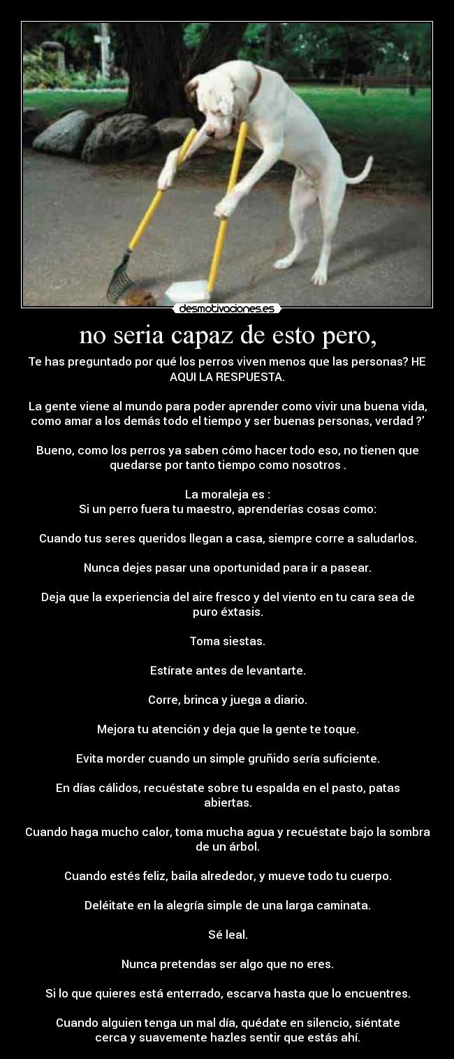 no seria capaz de esto pero, -