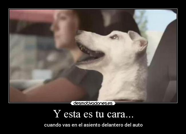 Y esta es tu cara... - cuando vas en el asiento delantero del auto