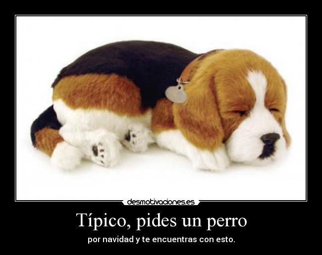 Típico, pides un perro - por navidad y te encuentras con esto.