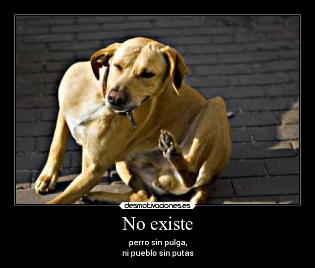 No existe - perro sin pulga,
ni pueblo sin putas