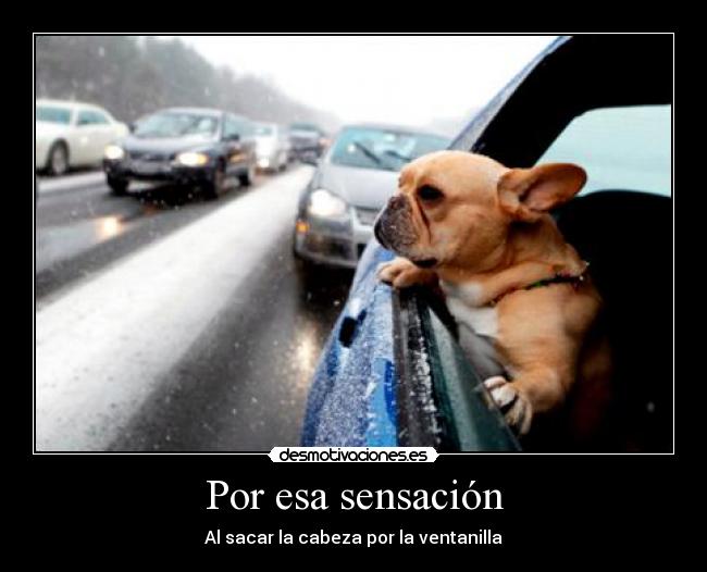 Por esa sensación - Al sacar la cabeza por la ventanilla