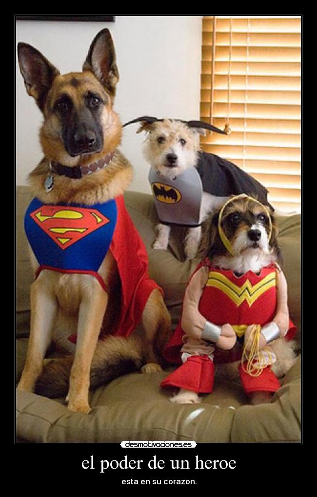 carteles sap desmotivaciones