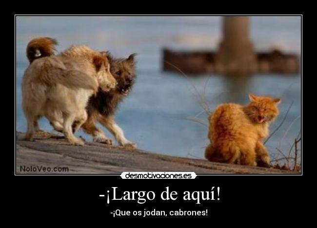 -¡Largo de aquí! - -¡Que os jodan, cabrones!