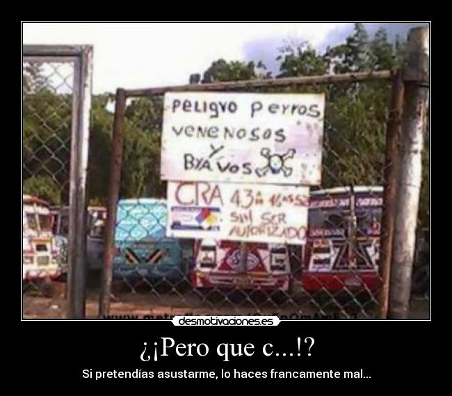 ¿¡Pero que c...!? - Si pretendías asustarme, lo haces francamente mal...