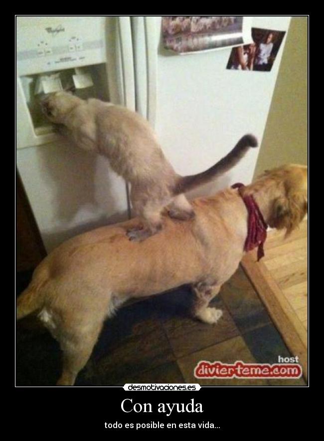 carteles ayuda verdad desmotivaciones