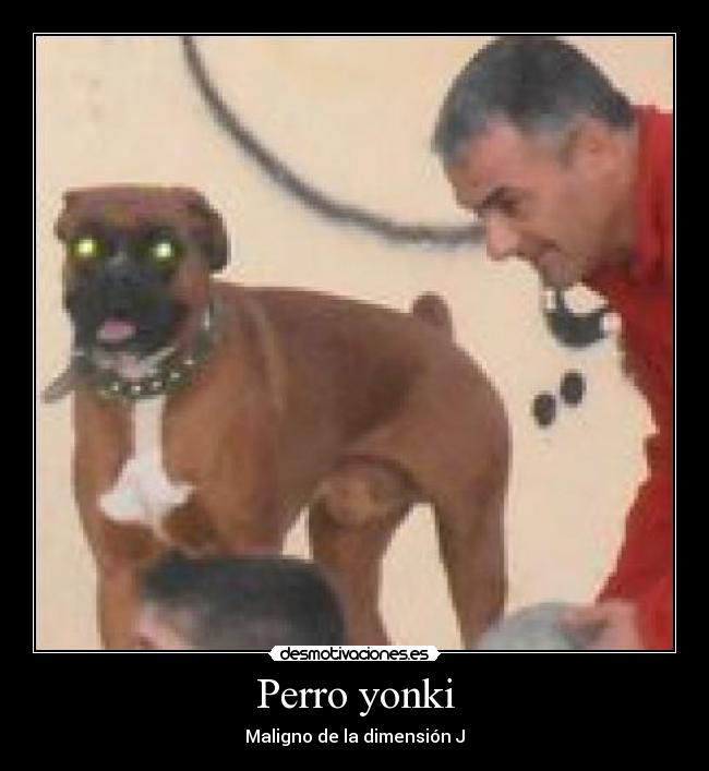 Perro yonki - Maligno de la dimensión J
