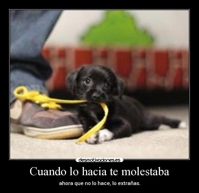Cuando lo hacia te molestaba - 