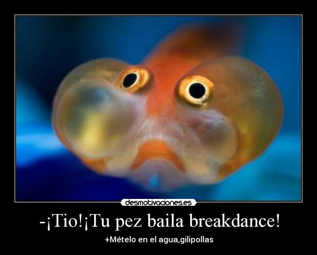-¡Tio!¡Tu pez baila breakdance! - 