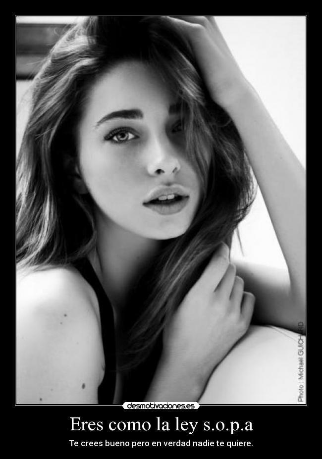 Eres como la ley s.o.p.a - Te crees bueno pero en verdad nadie te quiere.