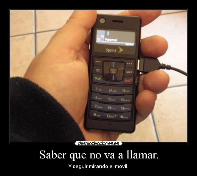 carteles algunos desmotivaciones