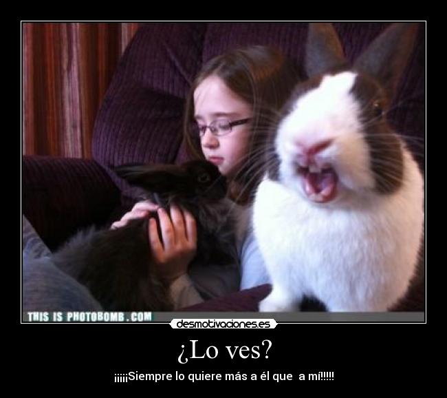 ¿Lo ves? - ¡¡¡¡¡Siempre lo quiere más a él que a mí!!!!!