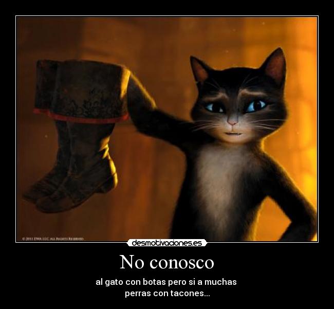 No conosco - al gato con botas pero si a muchas
perras con tacones...