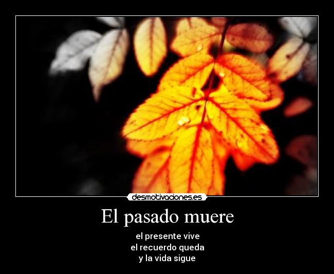 El pasado muere - el presente vive
el recuerdo queda
y la vida sigue