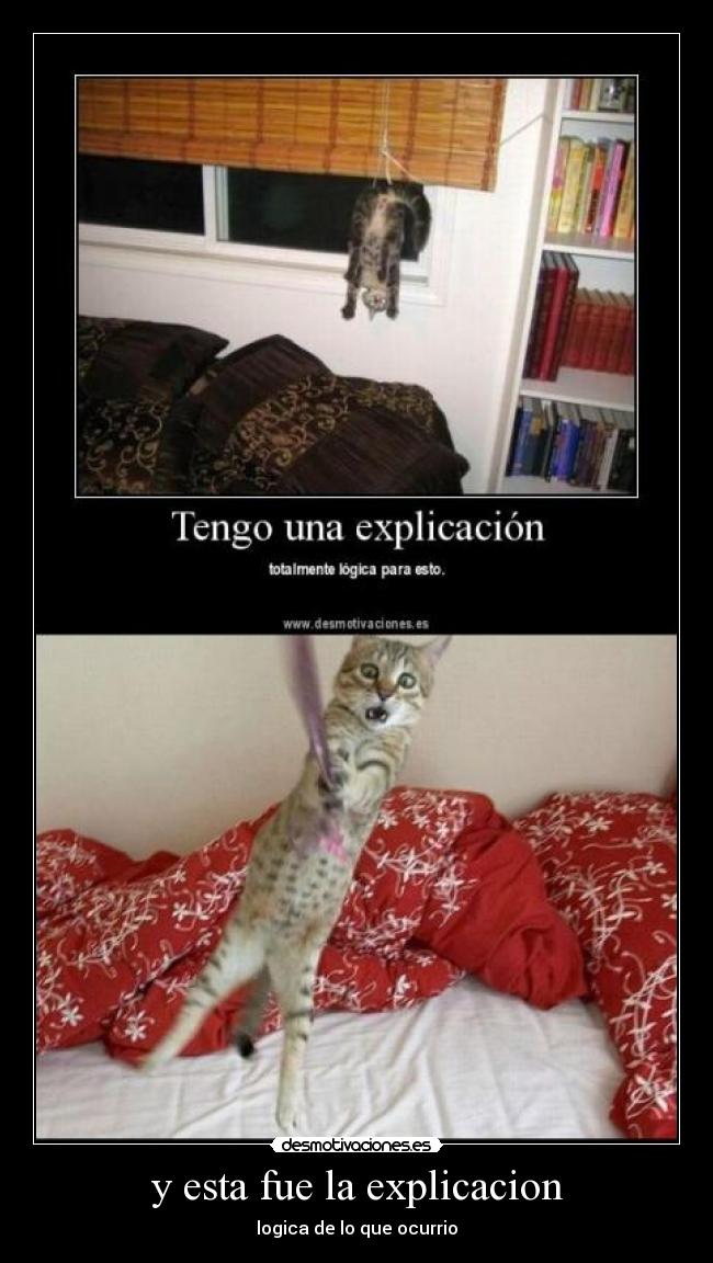 y esta fue la explicacion - logica de lo que ocurrio