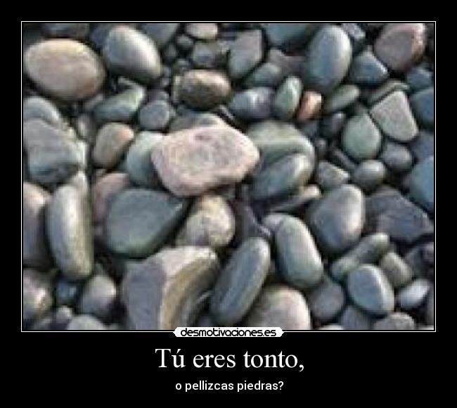 Tú eres tonto, - o pellizcas piedras?