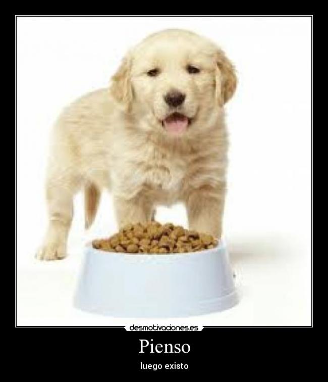 Pienso - luego existo