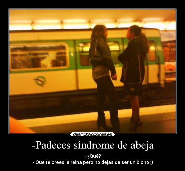 -Padeces síndrome de abeja - +¿Qué?
- Que te crees la reina pero no dejas de ser un bicho ;)