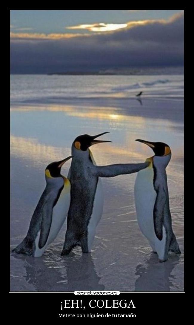 ¡EH!, COLEGA - Métete con alguien de tu tamaño