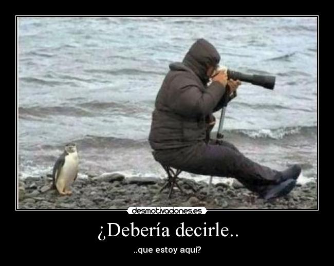 ¿Debería decirle.. - 