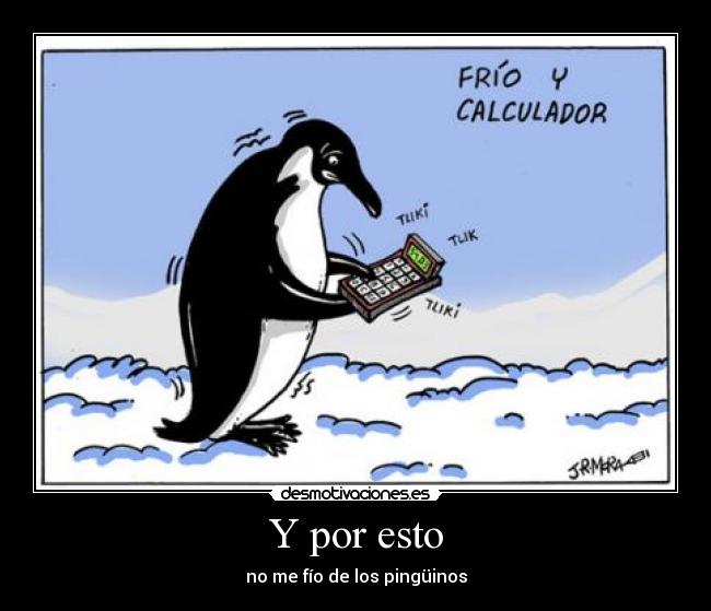 Y por esto - no me fío de los pingüinos