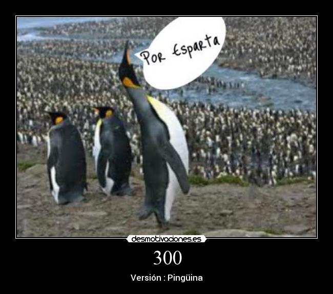 300 - Versión : Pingüina