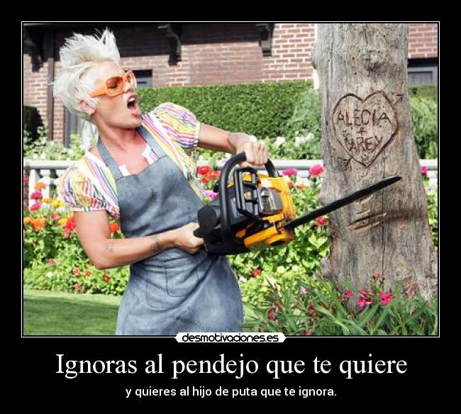 Ignoras al pendejo que te quiere - y quieres al hijo de puta que te ignora.