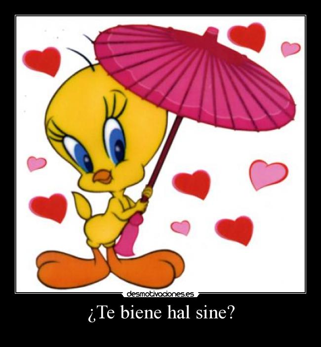 ¿Te biene hal sine? -