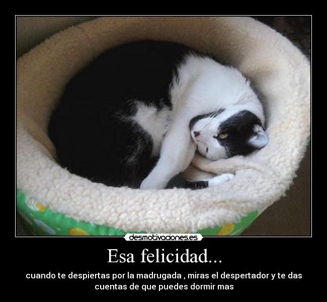 Esa felicidad... - cuando te despiertas por la madrugada , miras el despertador y te das
cuentas de que puedes dormir mas