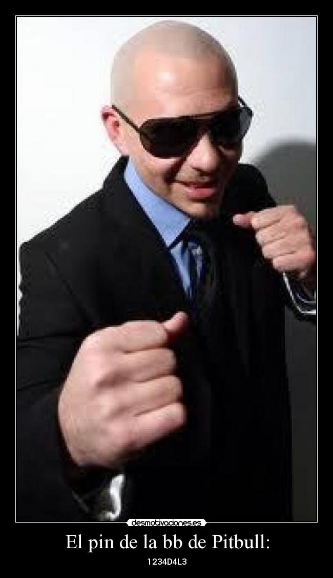 El pin de la bb de Pitbull: - 1234D4L3