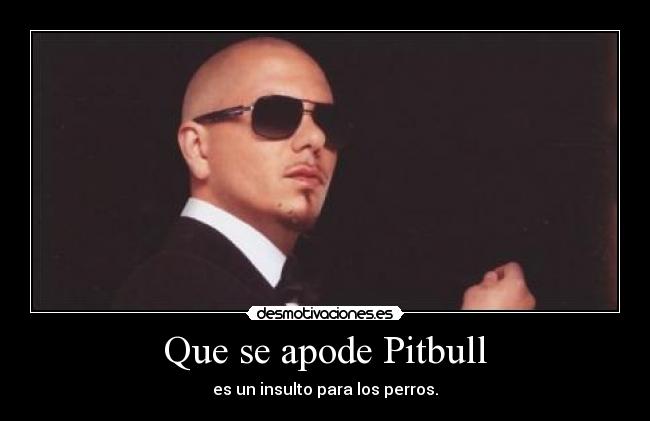 Que se apode Pitbull - es un insulto para los perros.