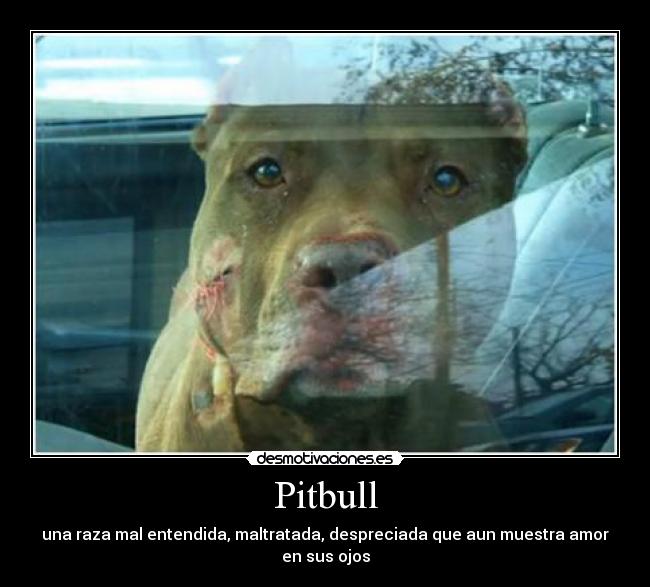 carteles boosteller desmotivaciones