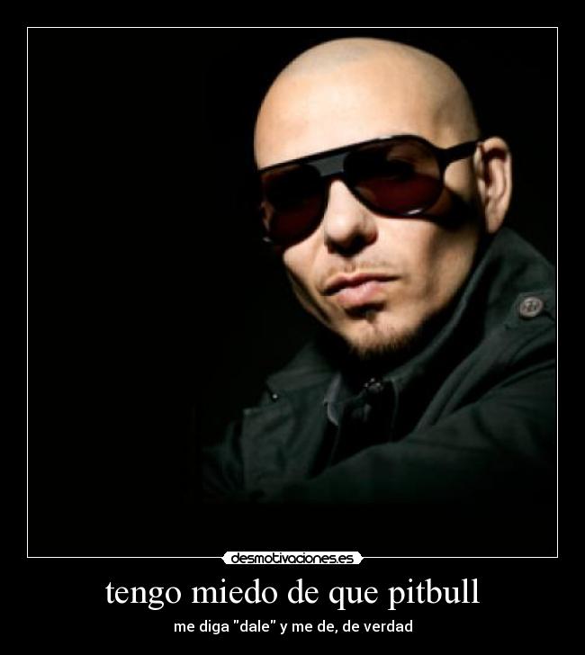tengo miedo de que pitbull - 