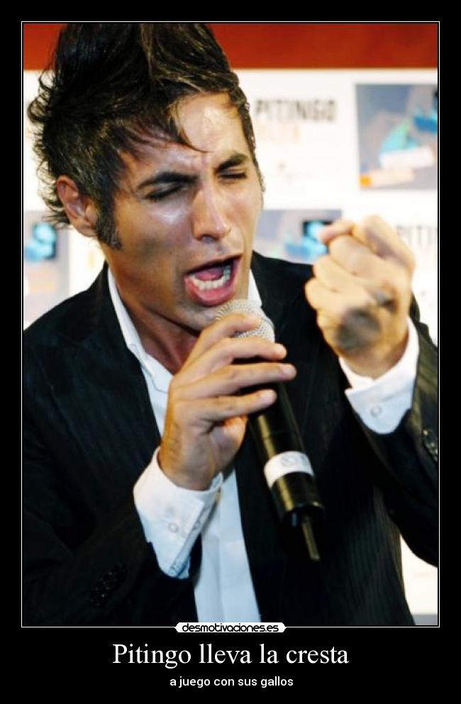 Pitingo lleva la cresta - a juego con sus gallos
