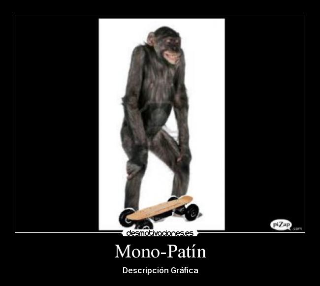 Mono-Patín - Descripción Gráfica