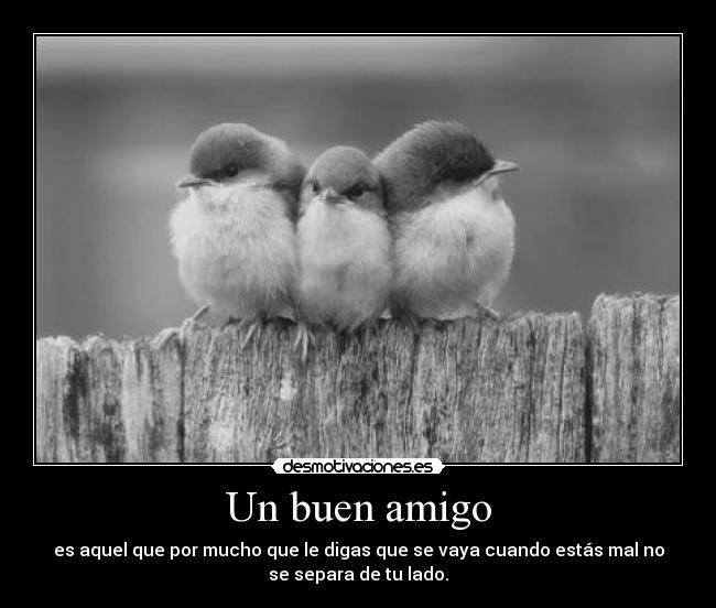 Imagenes De Amistad Negro Y Blanco | im 225 genes de amistad en blanco y negro imagui Imagenes De Amistad Negro Y Blanco | im 225 genes de amistad en blanco y negro imagui