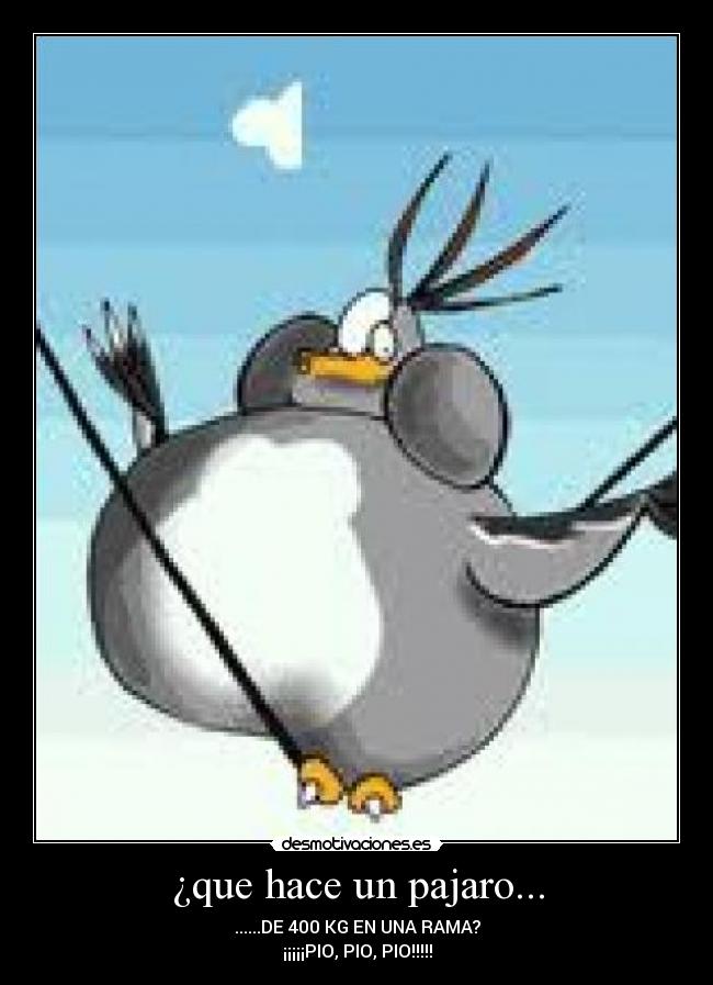 ¿que hace un pajaro... -