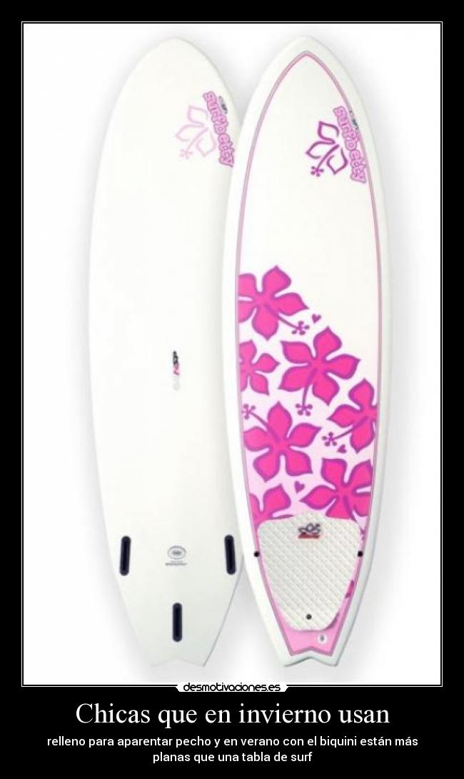 Chicas que en invierno usan - relleno para aparentar pecho y en verano con el biquini están más
planas que una tabla de surf