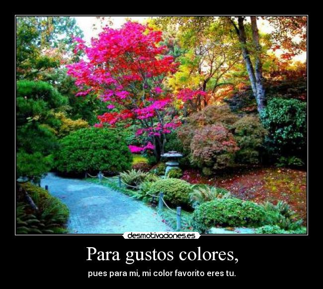 Para gustos colores, - pues para mi, mi color favorito eres tu.