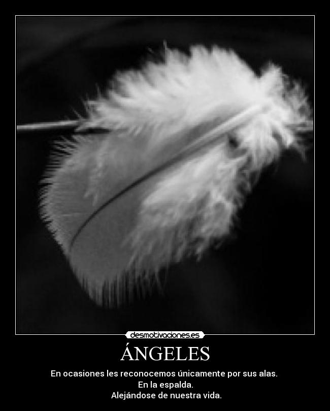 ÁNGELES - En ocasiones les reconocemos únicamente por sus alas.
En la espalda.
Alejándose de nuestra vida.