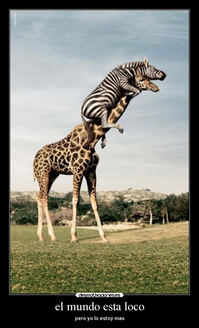 el mundo esta loco - 