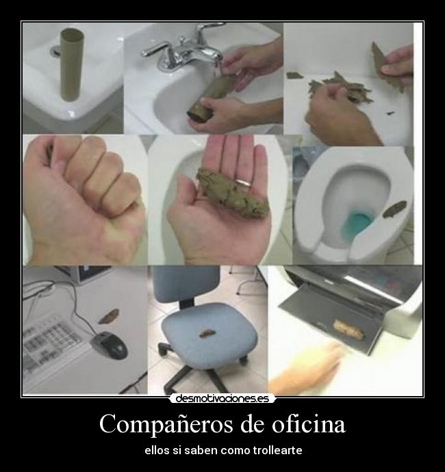 Compañeros de oficina -