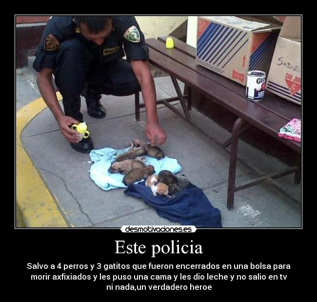 Este policia - Salvo a 4 perros y 3 gatitos que fueron encerrados en una bolsa para
morir axfixiados y les puso una cama y les dio leche y no salio en tv
ni nada,un verdadero heroe